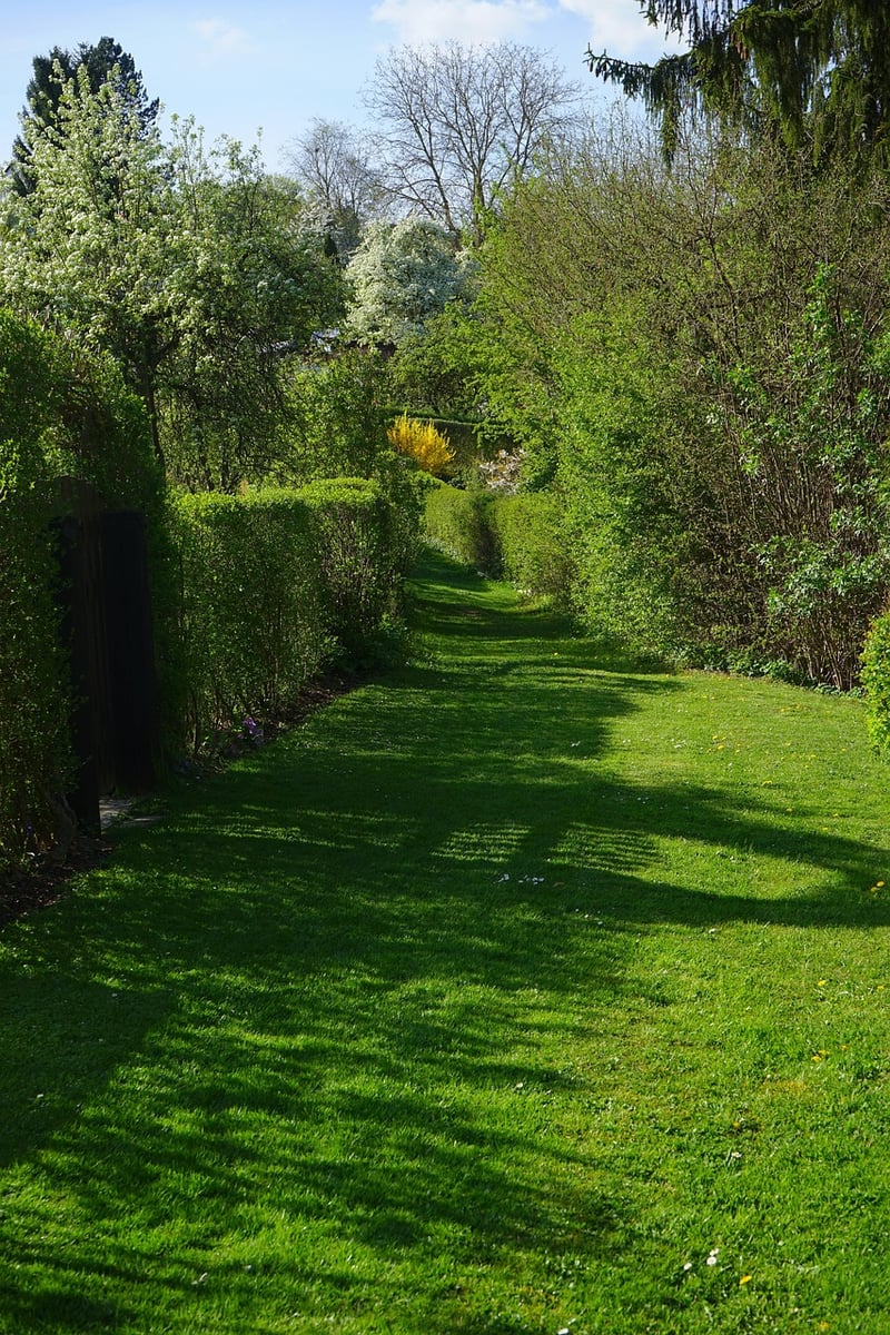 Join Gardening Clubs