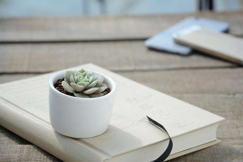 Herb Garden